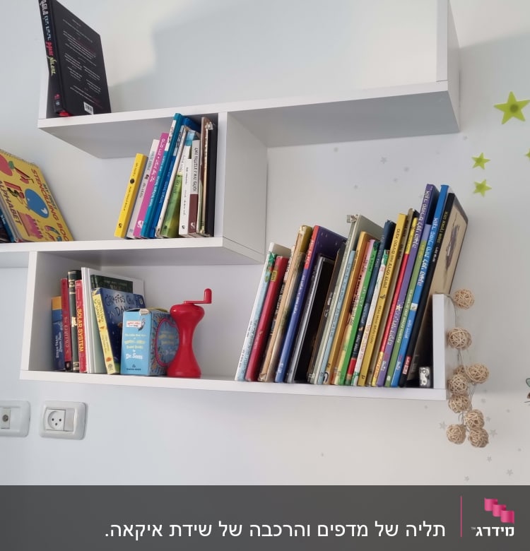 מדף ספרים עם ספרים וכלי אדום